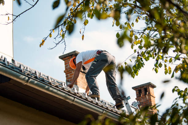 Best Emergency Roof Repair  in Daniel, UT